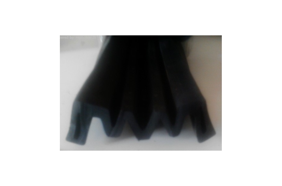 juntamext50_3